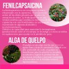 Suplemento Quemador Reductivo Con Lipoenzimas 90 Cápsulas
