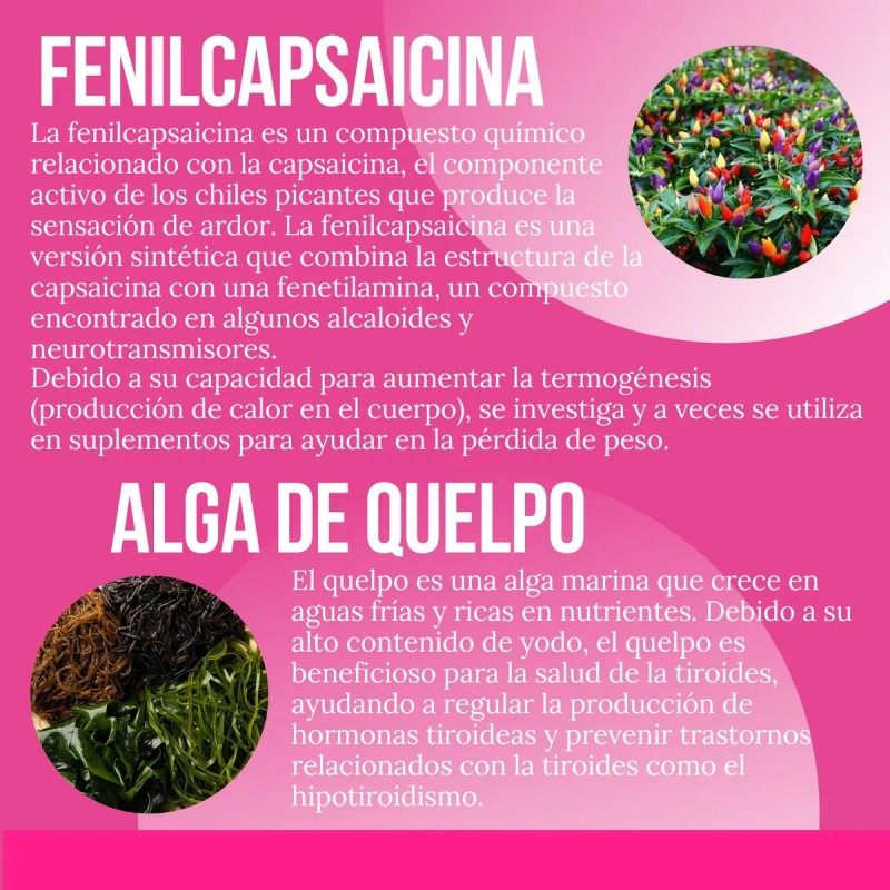 Suplemento Quemador Reductivo Con Lipoenzimas 90 Cápsulas