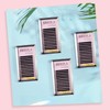 Oreola Volume Eyelashes, D Curl, 0.07 mm Thick, 12 mm