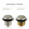Wellup Brushed Bathtub Tub Drain Conversion Kit Assembly, Tub Drain