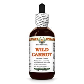 Hawaii Pharm Wild Carrot Alcohol-Free Extract, Glycerite for Skin Radiance, Kidney & Digestive Support, Promotes Clear Skin, Aids Kidney Function, Encourages Easy Breathing - 2 fl.oz