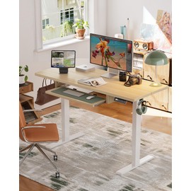 Marsail Electric Standing Desk with Ergonomic Keyboard Tray, Adjustable Desk with 27.5” to 46.7” Height Range, 4 Memory Presets, Smooth and Quiet Lifting, 55 x 24 inch Adjustable Height,TZESD15Modern