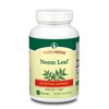 THERANEEM Neem Leaf Capsules - Powerful Nutritive Support with Antioxidants