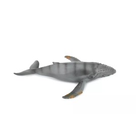 Collectible Wildlife Gifts Gray Whale, Museum Quality, Realistic Toy Figure, Model 7 1/2" CH283 BB126