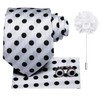 Hi-Tie Men's Tie Lapel Pin Set White Black Dots Pocket
