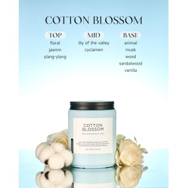M&SENSE Clean Cotton Scented Candle - 19.4oz Natural Soy Wax Clean Cotton Blossom Scent Non Toxic Candle, 110-Hour Slow Burning 2-Wick Aromatherapy Home Fragrance Gifts for Home Decor