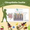 Atherionyxora Zeolite Detox for Kids - Detox Supplement, Gentle &