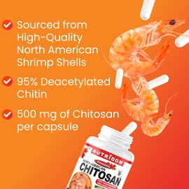 Nutridom Nutridom Chitosan Supplement 500mg – 95% Acetylated Chitin – North American Source – Non-GMO, Gluten free, Dairy free, Soy free – 120 Veggie Capsules