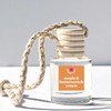 Scented Car Freshener Diffusers Air Fresheners (SELECT YOUR SCENTS):_Maple &