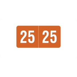 2025 Mini Year Stickers, Brown, Compatible with Smead ETS Series, Doctor Stuff, USA Made Year Labels for End Tab File Folders, 250/Pack, 1 Package, 1/2" x 1" - Small Labels