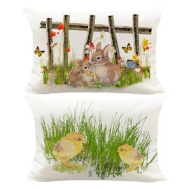 Hysunland 2 Pack Happy Easter Lumbar Pillow Covers for Outdoor 12x20 Inch Colored Eggs Bunny Rabbits Chicks Spring Valentine's Day Pillow Cases Without Fillers