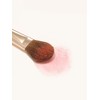 [Butterfly Zone Pore Eraser] The Tool Lab 162 Small Blusher