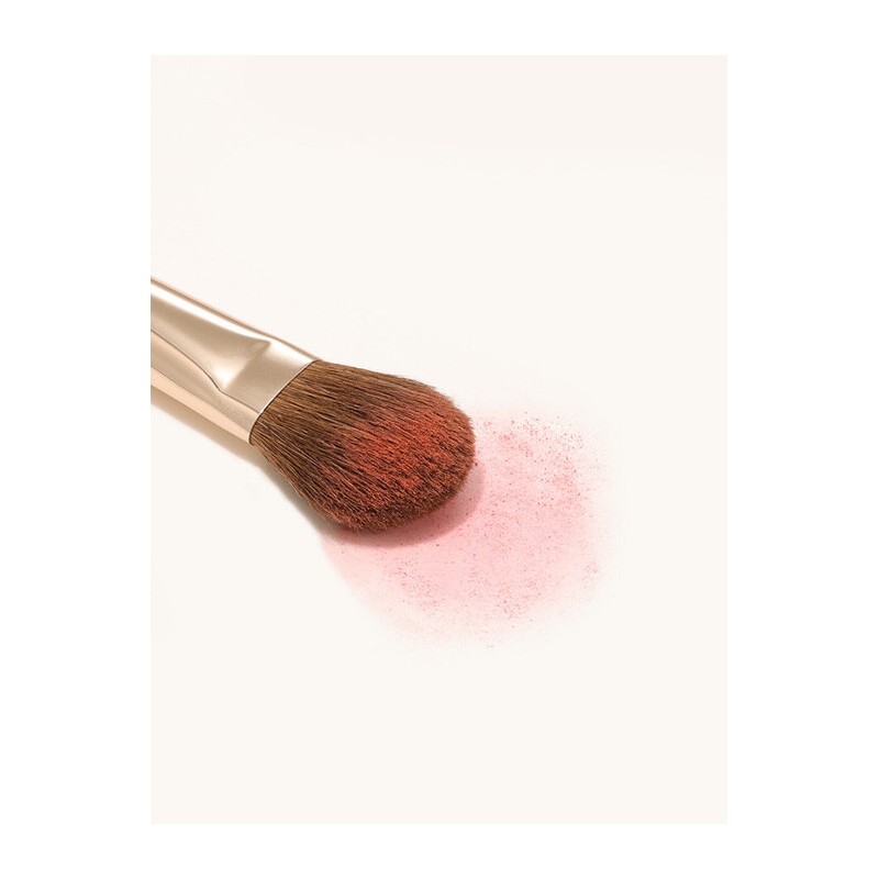 [Butterfly Zone Pore Eraser] The Tool Lab 162 Small Blusher