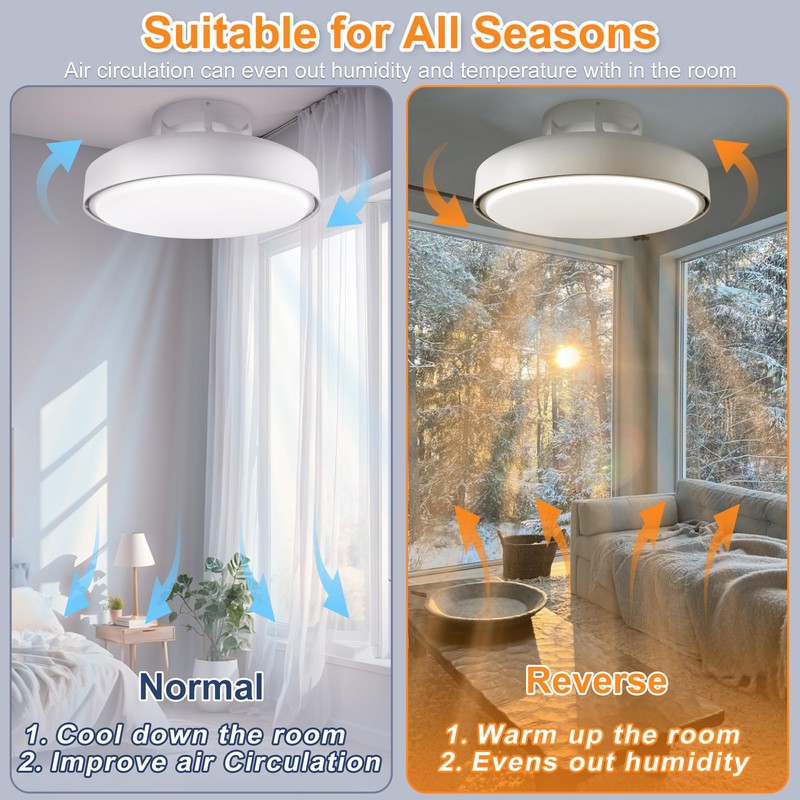CELAVY Ceiling Fans with Lights and Remote, 19.8 in Flush