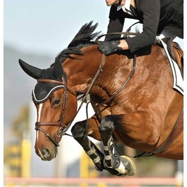 Plughz Sound Off Ear Net Soundless Bonnet Brown