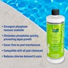 Lo-Phos Max Phosphate Remover Pool - Reduces Chlorine Demand and
