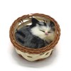 Coolayoung 2Pcs Sleeping Cat in Basket Doll Toy, Mini Kitten