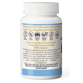 ECLECTIC INSTITUTE ECLECTIC INSTITUTE Raw Fresh Freeze-Dried Non-GMO Black Raspberry | Nutrient Dense & Anthocyanin-Rich | 50 CT (300 mg)