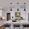 Black Pendant Light for Kitchen light fixtures,Small Modern Industrial Chandeliers