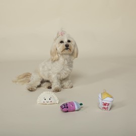 Fringe Studio Plush Dog Toy Set, TAKE ME Out , 3 Piece Set, for Small Dogs (289516)