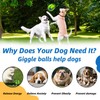 SHAKE AND LAUGH Dog Toys Ball, Interactive Dog Ball, Shaking