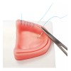 Kingden Pad Sutura Bucal Silicón Boca Odontología Con Base N5001