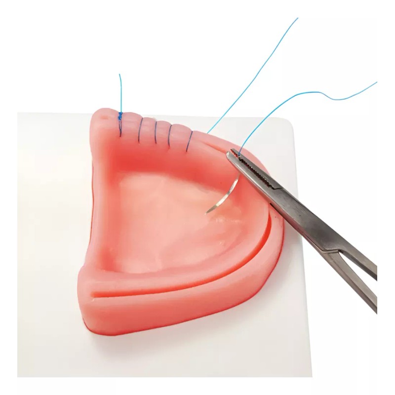 Kingden Pad Sutura Bucal Silicón Boca Odontología Con Base N5001
