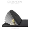 Cama de Masaje Spa Reclinable | Estuche Portátil Profesional |