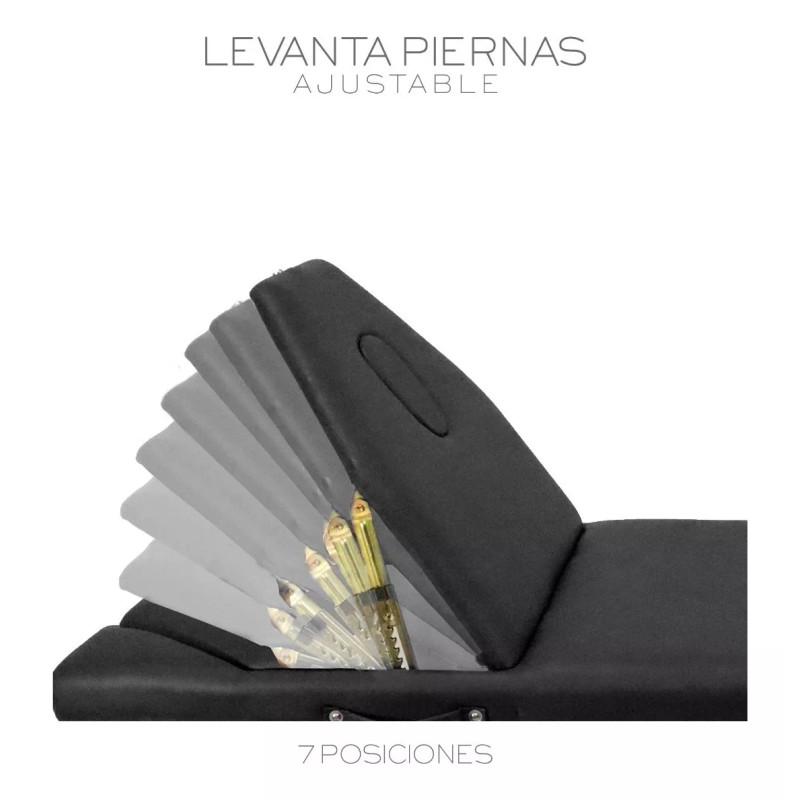 Cama de Masaje Spa Reclinable | Estuche Portátil Profesional |