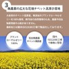 無添加 ローヤルゼリー デセン酸 6％規格 生ローヤルゼリー 換算3,240mg チベット高原産指定 2袋