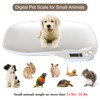 Multi-Function Digital Pet Scale for Small Animals Rabbit Hamsters Parrot,Large