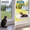Cat Window Hammock for Indoor Lounging – Foldable Suction Cup
