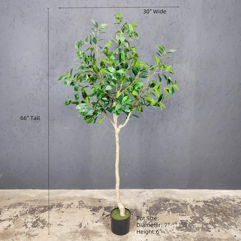 5.5ft Tall Artificial Bay Leaf Tree,Laurus Tree,Bay Tree,Laurel Tree Artificial