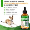 Probiotics for Dogs | Liquid Probiotics for Dogs and Puppies