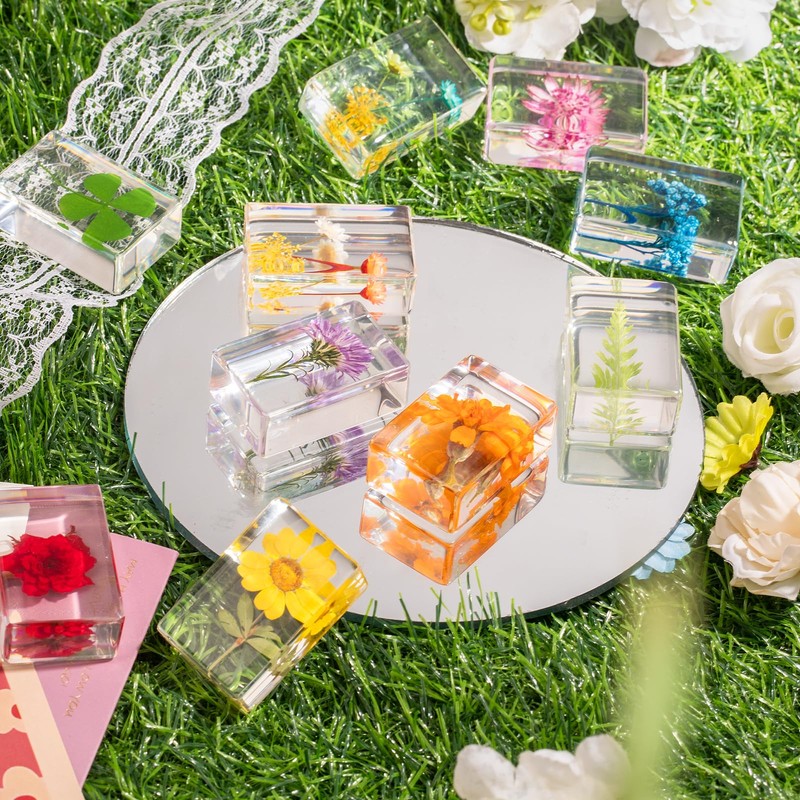 12 Pcs Real Pressed Flower Resin Paperweights - Botanical Specimen