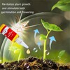 Limetown Plant Vitality Elixir, Money Tree Fertilizer, Limetown Phyto Vitamin