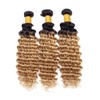 2CA 1B27 Deep Human Hair Bundle 12 Inch