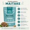 Maitake en Polvo 100g | Grifola Frondosa | Hongo Adaptógeno