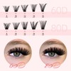 EYEVIS Lash Clusters Wispy 280PCS Eyelash Clusters 60D 80D Lashes