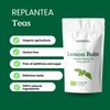 Lemon Balm Tea Organic 100g (50 Cups) | Organic Lemon
