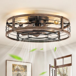 23" Black Gold Caged Low Profile Ceiling Fan with Light and Remote