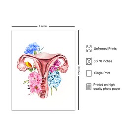 Floral Female Anatomy Wall Art - Gift for Women, OBGYN or Gynecology, Fertility, IVF Doctors Office - Decor for Home, Apartment or Medical Clinic - Uterus Picture Print - 8x10 UNFRAMED