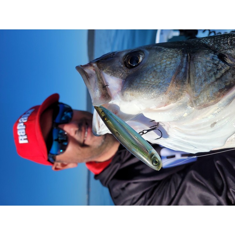 Esca di pesca a esca precisione, 1, RA5823112