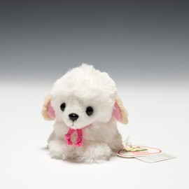 Candy Fontaine Toy Poodle White