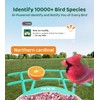 Bird Feeder with Camera | AI Recognition, Solar-Charged Video Bird