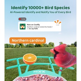 Bird Feeder with Camera | AI Recognition, Solar-Charged Video Bird Feeder Camera, Auto-Capture Video & Bird Arrival Alerts | Ideal Gift for Bird Enthusiasts | Pea Green