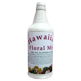 BURTON AND BURTON Hawaiian Floral Mist One Quart Bottle with Sprayer - Flower Refresher