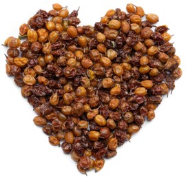 Super Value Pack - Organic Sea Buckthorn Berry Tea 5 LB - Seabuckthorn, Seaberry, Espino Amarillo