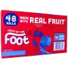 Fruit By the Foot Variety Pack Berry Strawberry Raspberry 48