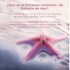 Serum Facial Anti Arrugas, Vitamina C, Extracto Estrella de Mar